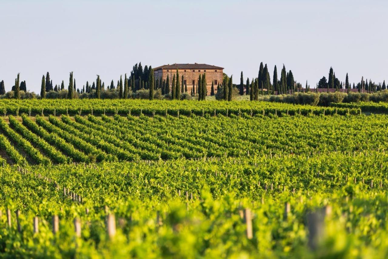 Antico Brunello Leilighet Argiano Eksteriør bilde